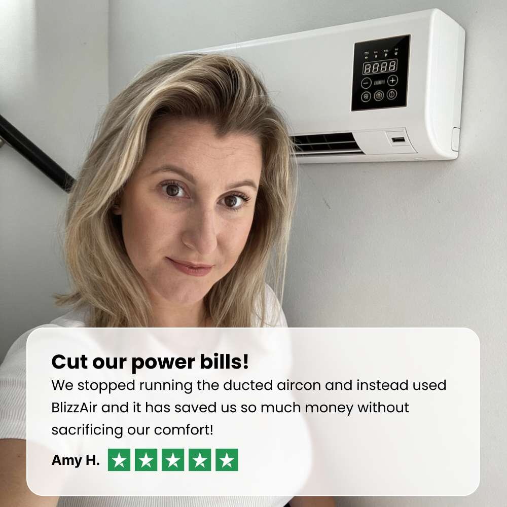 BlizzAir customer review image